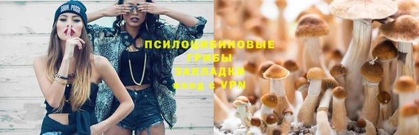 скорость Баксан